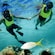 A young couple holding hands while snorkeling over tropical fish